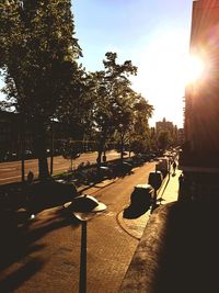 Sun shining through trees