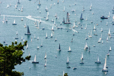 High angle view of sailboats in sea