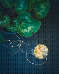 High angle view of vegetables on table