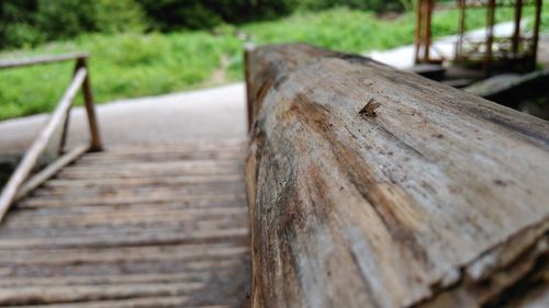 Close-up of wooden surface