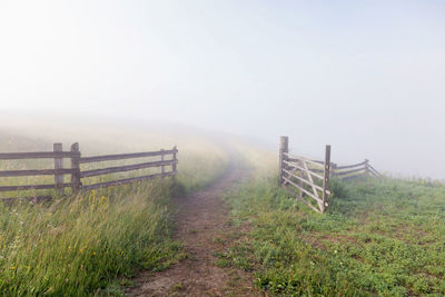 Scenic view of field against sky during foggy weather