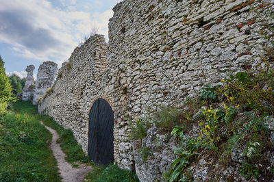 Plants growing on old wall against sky