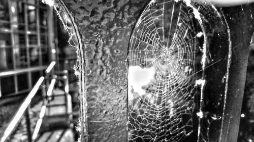 Close-up of spider web on window