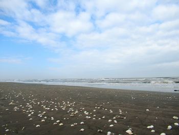Scenic view of beach against sky