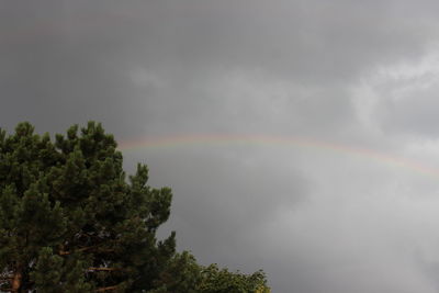 Low angle view of rainbow against sky