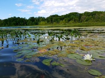 Scenic view of lake against sky