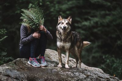 Woman holding fern leaves while sitting with dog on rock