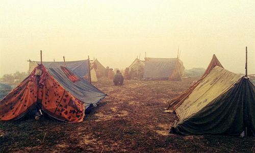 View of tree against sky