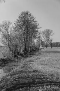 Bare trees on field against sky