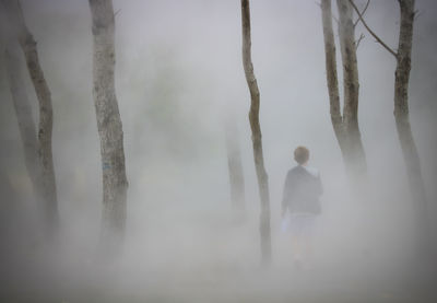 Rear view of man standing by trees in forest