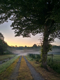 Road by trees on field against sky