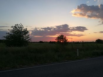 Scenic view of field against sky during sunset