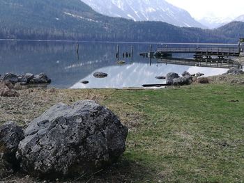 View of sheep on rock by lake