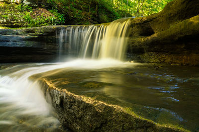 View of waterfall in forest