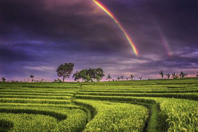 Scenic view of field against rainbow in sky