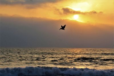 Silhouette bird flying over sea against sky during sunset