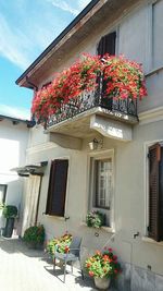 Flowers in front of building