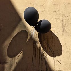 Close-up of telephone pole