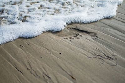 Sand dunes at beach