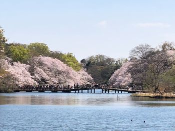 Scenic view of lake against clear sky