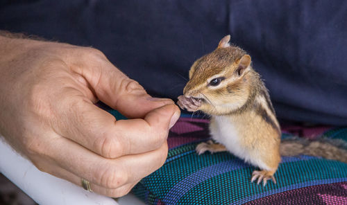 Close-up of hand holding hands