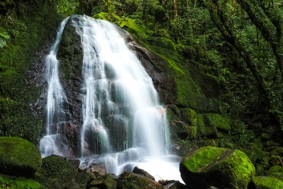 Scenic view of waterfall