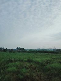 Scenic view of field against sky