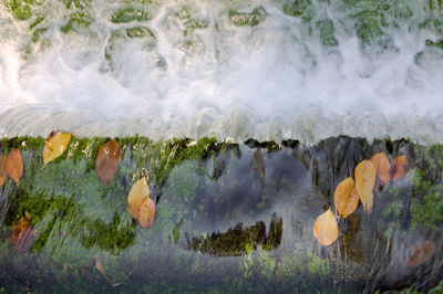 Panoramic shot of rocks in sea