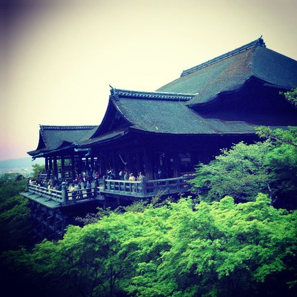 architecture, built structure, building exterior, temple - building, place of worship, religion, famous place, tree, low angle view, history, clear sky, spirituality, travel destinations, temple, sky, tourism, travel, cultures, international landmark