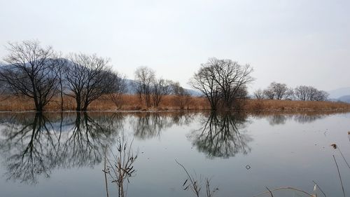 Reflection of trees in lake against clear sky