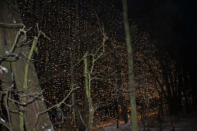 Firework display at night