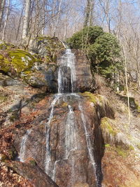 Waterfall in forest