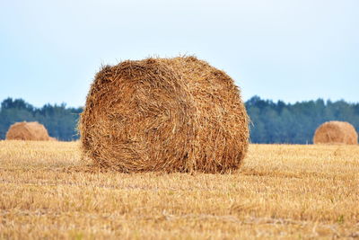 Hay bales on field against clear sky