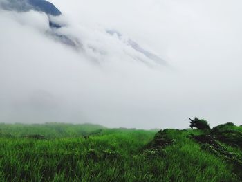 Scenic view of field against sky