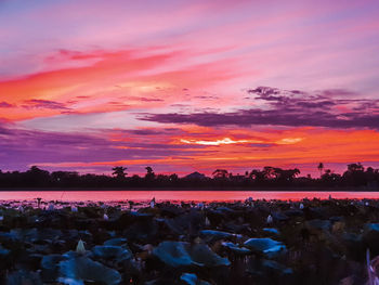 Scenic view of dramatic sky during sunset