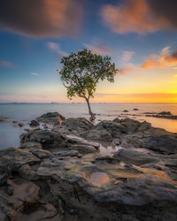 Scenic view of sea against sky during sunset