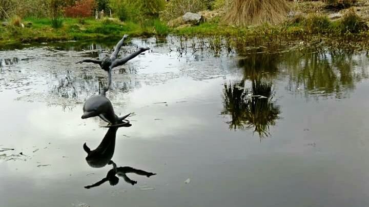 BIRDS PERCHING ON LAKE