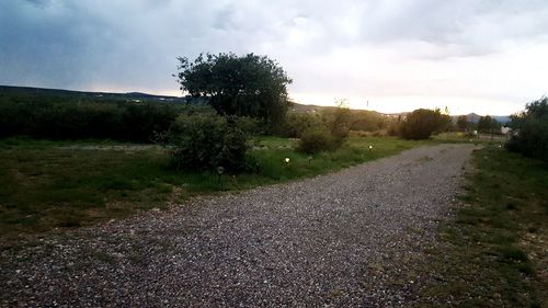 Road amidst trees on field against sky