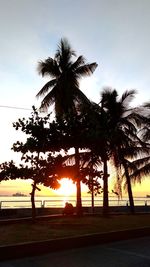 Silhouette palm trees at beach against sky during sunset