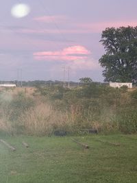 Scenic view of field against sky during sunset