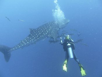 Man swimming in sea