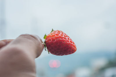 Cropped hand holding strawberry