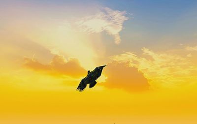 Low angle view of bird flying against sky