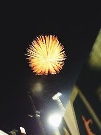 Low angle view of illuminated ferris wheel