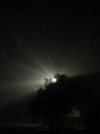 Silhouette of trees against cloudy sky at night