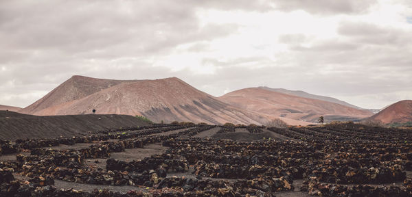 Scenic view of landscape against cloudy sky