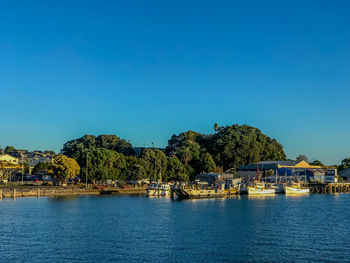 Scenic view of sea against clear blue sky