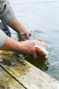 Hands rinsing dead fish in water