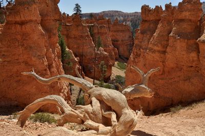 Rock formations in a desert