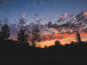 Low angle view of silhouette trees against sky during sunset